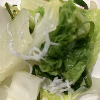 シラス和えの温野菜風の白菜サラダ
